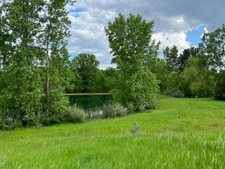 Property photo 29 - HOMES & LAND AUCTION - 32.5+/- ACRES OFFERED IN 3 TRACTS IN ALLEN COUNTY, INDIANA