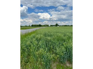 Property photo 30 - HOMES & LAND AUCTION - 32.5+/- ACRES OFFERED IN 3 TRACTS IN ALLEN COUNTY, INDIANA
