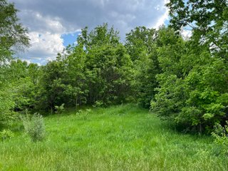 Property photo 33 - HOMES & LAND AUCTION - 32.5+/- ACRES OFFERED IN 3 TRACTS IN ALLEN COUNTY, INDIANA