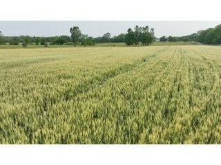 Property photo 1 - HOMES & LAND AUCTION - 32.5+/- ACRES OFFERED IN 3 TRACTS IN ALLEN COUNTY, INDIANA