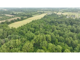 Property photo 2 - HOMES & LAND AUCTION - 32.5+/- ACRES OFFERED IN 3 TRACTS IN ALLEN COUNTY, INDIANA
