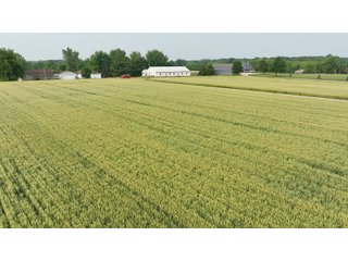 Property photo 8 - HOMES & LAND AUCTION - 32.5+/- ACRES OFFERED IN 3 TRACTS IN ALLEN COUNTY, INDIANA