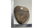 Property photo 493 - TIMED ONLINE ONLY PERSONAL PROPERTY CONSIGNMENT AUCTION IN ALLEN COUNTY, INDIANA