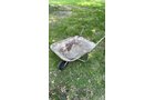 Property photo 198 - TIMED ONLINE ONLY PERSONAL PROPERTY AUCTION IN ALLEN COUNTY, INDIANA
