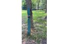 Property photo 241 - TIMED ONLINE ONLY PERSONAL PROPERTY AUCTION IN ALLEN COUNTY, INDIANA