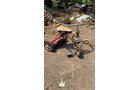 Property photo 252 - TIMED ONLINE ONLY PERSONAL PROPERTY AUCTION IN ALLEN COUNTY, INDIANA
