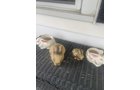 Property photo 90 - TIMED ONLINE ONLY PERSONAL PROPERTY AUCTION IN ALLEN COUNTY, INDIANA