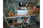 Property photo 264 - TIMED ONLINE ONLY PERSONAL PROPERTY AUCTION IN ALLEN COUNTY, INDIANA