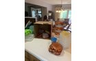 Property photo 241 - TIMED ONLINE ONLY PERSONAL PROPERTY AUCTION IN ALLEN COUNTY, INDIANA