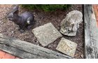 Property photo 342 - TIMED ONLINE ONLY PERSONAL PROPERTY AUCTION IN ALLEN COUNTY, INDIANA