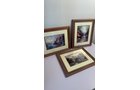 Property photo 59 - TIMED ONLINE ONLY PERSONAL PROPERTY AUCTION IN ALLEN COUNTY, INDIANA