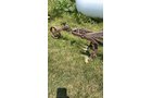 Property photo 219 - TIMED ONLINE ONLY PERSONAL PROPERTY AUCTION IN HILLSDALE COUNTY, MICHIGAN