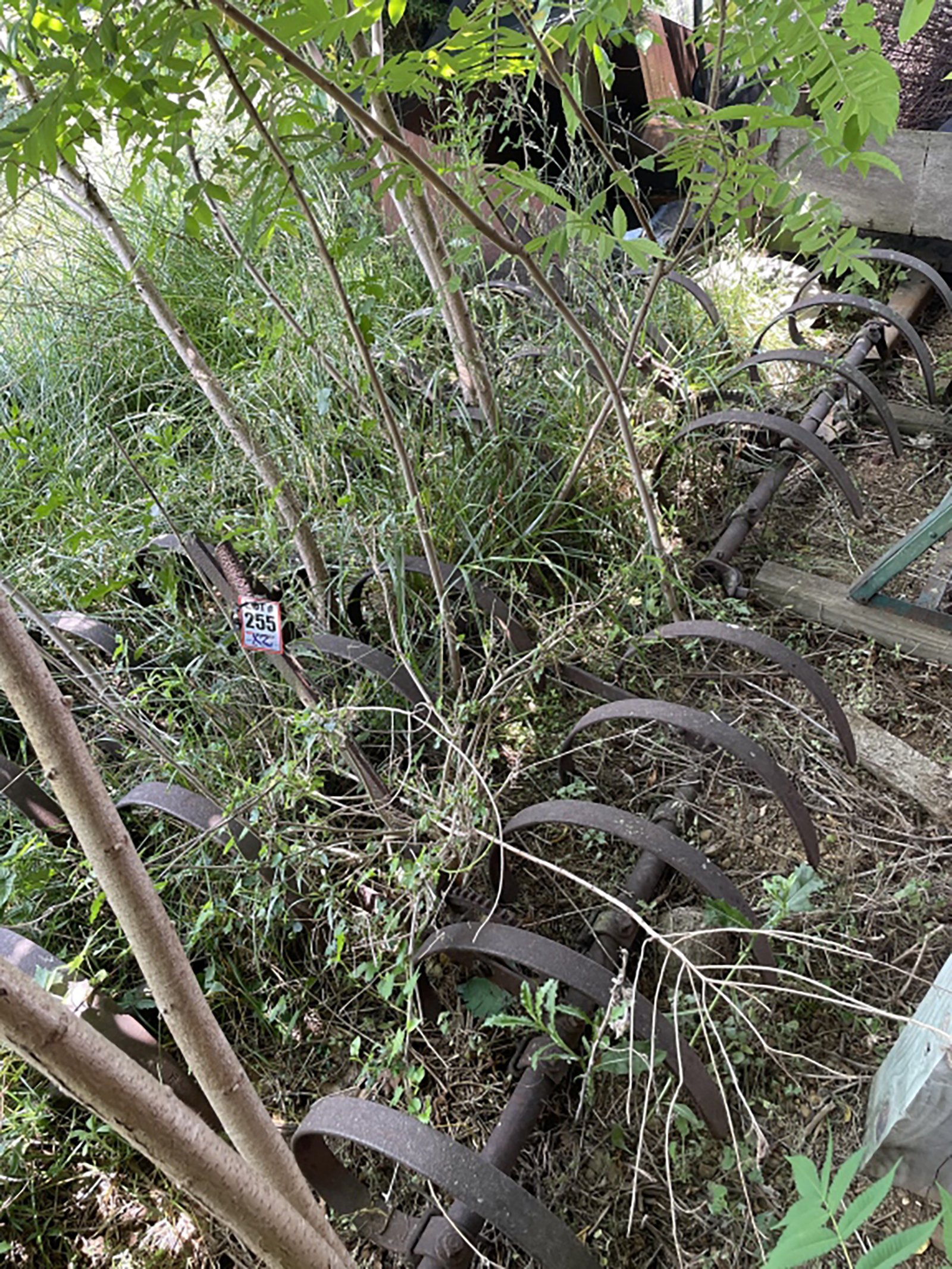Property photo 233 - TIMED ONLINE ONLY PERSONAL PROPERTY AUCTION IN HILLSDALE COUNTY, MICHIGAN