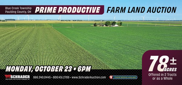 Sold: FARM LAND AUCTION - 78+/- ACRES OFFERED IN 2 TRACTS IN PAULDING COUNTY, OHIO - Paulding, OH - Paulding County, OH