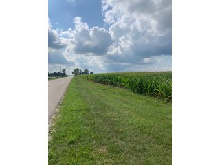 Property photo 19 - FARM LAND AUCTION - 78+/- ACRES OFFERED IN 2 TRACTS IN PAULDING COUNTY, OHIO