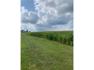 Property photo 20 - FARM LAND AUCTION - 78+/- ACRES OFFERED IN 2 TRACTS IN PAULDING COUNTY, OHIO