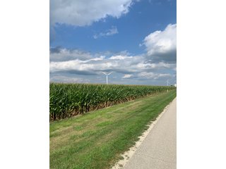 Property photo 23 - FARM LAND AUCTION - 78+/- ACRES OFFERED IN 2 TRACTS IN PAULDING COUNTY, OHIO