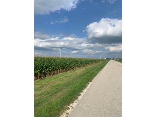 Property photo 24 - FARM LAND AUCTION - 78+/- ACRES OFFERED IN 2 TRACTS IN PAULDING COUNTY, OHIO