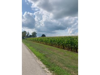 Property photo 25 - FARM LAND AUCTION - 78+/- ACRES OFFERED IN 2 TRACTS IN PAULDING COUNTY, OHIO