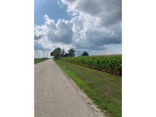 Property photo 26 - FARM LAND AUCTION - 78+/- ACRES OFFERED IN 2 TRACTS IN PAULDING COUNTY, OHIO