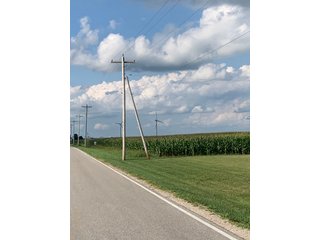 Property photo 30 - FARM LAND AUCTION - 78+/- ACRES OFFERED IN 2 TRACTS IN PAULDING COUNTY, OHIO