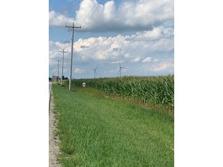 Property photo 31 - FARM LAND AUCTION - 78+/- ACRES OFFERED IN 2 TRACTS IN PAULDING COUNTY, OHIO