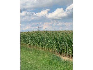 Property photo 32 - FARM LAND AUCTION - 78+/- ACRES OFFERED IN 2 TRACTS IN PAULDING COUNTY, OHIO