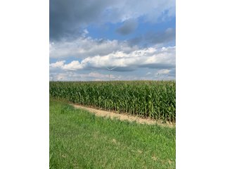 Property photo 33 - FARM LAND AUCTION - 78+/- ACRES OFFERED IN 2 TRACTS IN PAULDING COUNTY, OHIO