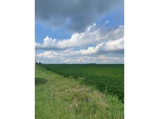 Property photo 34 - FARM LAND AUCTION - 78+/- ACRES OFFERED IN 2 TRACTS IN PAULDING COUNTY, OHIO
