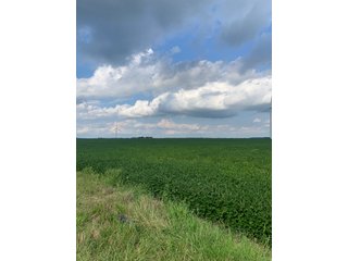 Property photo 35 - FARM LAND AUCTION - 78+/- ACRES OFFERED IN 2 TRACTS IN PAULDING COUNTY, OHIO