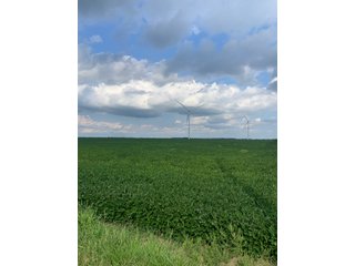 Property photo 36 - FARM LAND AUCTION - 78+/- ACRES OFFERED IN 2 TRACTS IN PAULDING COUNTY, OHIO