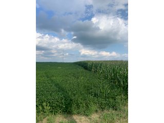 Property photo 37 - FARM LAND AUCTION - 78+/- ACRES OFFERED IN 2 TRACTS IN PAULDING COUNTY, OHIO
