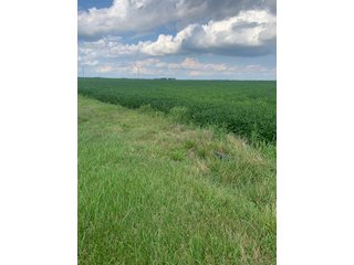 Property photo 39 - FARM LAND AUCTION - 78+/- ACRES OFFERED IN 2 TRACTS IN PAULDING COUNTY, OHIO
