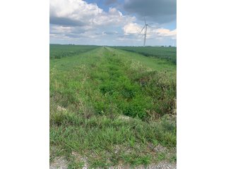 Property photo 40 - FARM LAND AUCTION - 78+/- ACRES OFFERED IN 2 TRACTS IN PAULDING COUNTY, OHIO