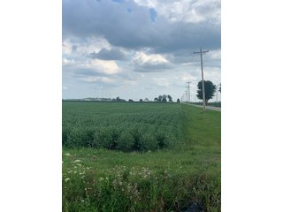 Property photo 43 - FARM LAND AUCTION - 78+/- ACRES OFFERED IN 2 TRACTS IN PAULDING COUNTY, OHIO