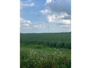 Property photo 44 - FARM LAND AUCTION - 78+/- ACRES OFFERED IN 2 TRACTS IN PAULDING COUNTY, OHIO