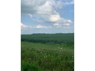 Property photo 45 - FARM LAND AUCTION - 78+/- ACRES OFFERED IN 2 TRACTS IN PAULDING COUNTY, OHIO