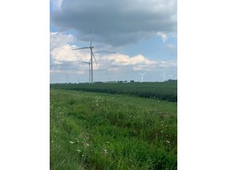 Property photo 46 - FARM LAND AUCTION - 78+/- ACRES OFFERED IN 2 TRACTS IN PAULDING COUNTY, OHIO
