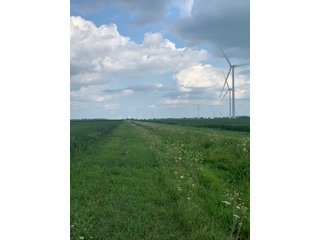 Property photo 47 - FARM LAND AUCTION - 78+/- ACRES OFFERED IN 2 TRACTS IN PAULDING COUNTY, OHIO