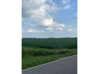 Property photo 50 - FARM LAND AUCTION - 78+/- ACRES OFFERED IN 2 TRACTS IN PAULDING COUNTY, OHIO