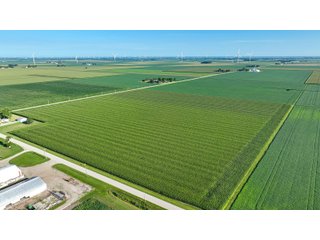 Property photo 1 - FARM LAND AUCTION - 78+/- ACRES OFFERED IN 2 TRACTS IN PAULDING COUNTY, OHIO