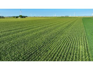 Property photo 11 - FARM LAND AUCTION - 78+/- ACRES OFFERED IN 2 TRACTS IN PAULDING COUNTY, OHIO