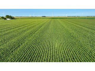 Property photo 12 - FARM LAND AUCTION - 78+/- ACRES OFFERED IN 2 TRACTS IN PAULDING COUNTY, OHIO