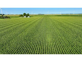 Property photo 13 - FARM LAND AUCTION - 78+/- ACRES OFFERED IN 2 TRACTS IN PAULDING COUNTY, OHIO
