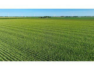Property photo 14 - FARM LAND AUCTION - 78+/- ACRES OFFERED IN 2 TRACTS IN PAULDING COUNTY, OHIO