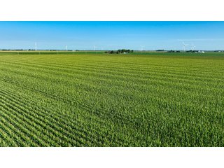 Property photo 17 - FARM LAND AUCTION - 78+/- ACRES OFFERED IN 2 TRACTS IN PAULDING COUNTY, OHIO