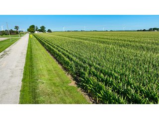 Property photo 18 - FARM LAND AUCTION - 78+/- ACRES OFFERED IN 2 TRACTS IN PAULDING COUNTY, OHIO