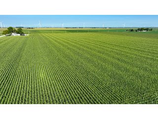 Property photo 2 - FARM LAND AUCTION - 78+/- ACRES OFFERED IN 2 TRACTS IN PAULDING COUNTY, OHIO
