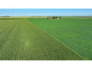 Property photo 3 - FARM LAND AUCTION - 78+/- ACRES OFFERED IN 2 TRACTS IN PAULDING COUNTY, OHIO