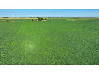 Property photo 4 - FARM LAND AUCTION - 78+/- ACRES OFFERED IN 2 TRACTS IN PAULDING COUNTY, OHIO